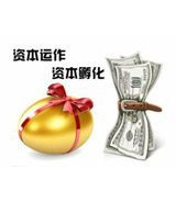 特別推薦：企業資本運營模式