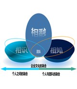 新員工的勝任力培養(yǎng)計(jì)劃-特別推薦